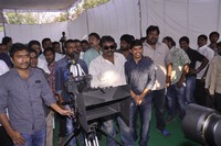 NTR New Movie Launch Photos